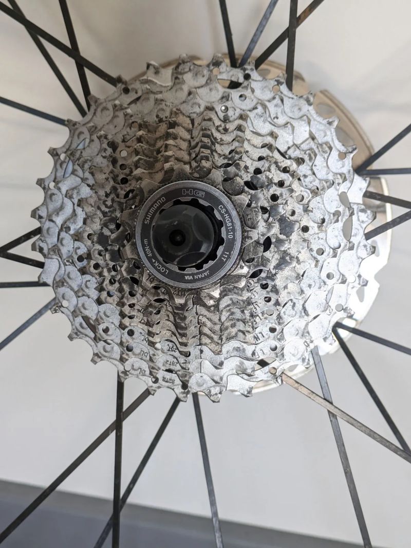 Kola Mavic CrossRide Disc 29"