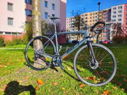 Superior X-road team issue