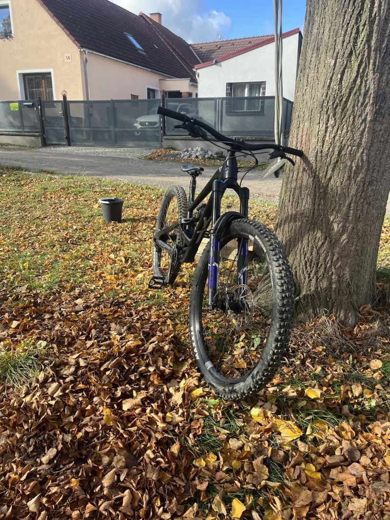 YT Industries Capra core 2