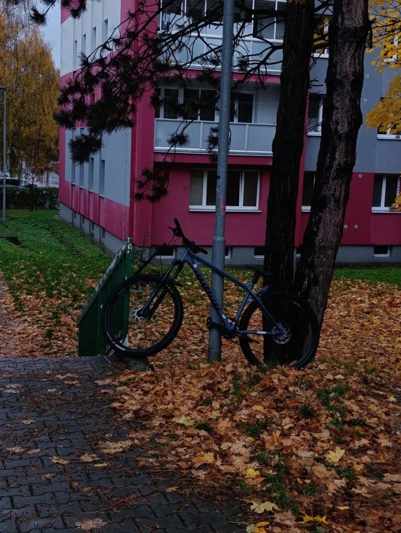 Author Versus 29 2.0