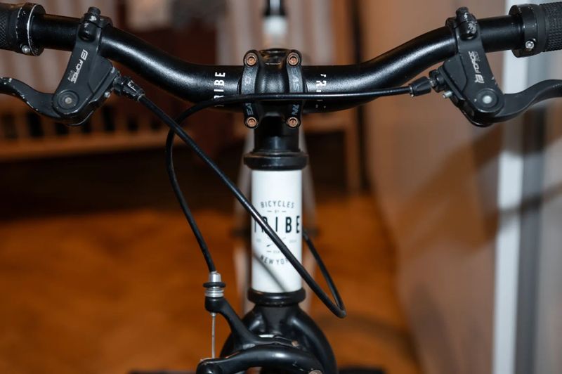 Městské kolo singlespeed / fixed gear Tribe Dane