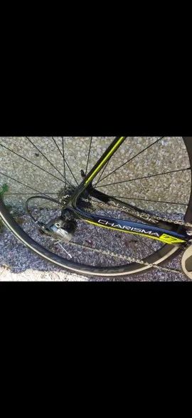 Author Author charisma 77