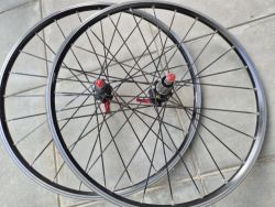 Kola Mavic Crossride 26"