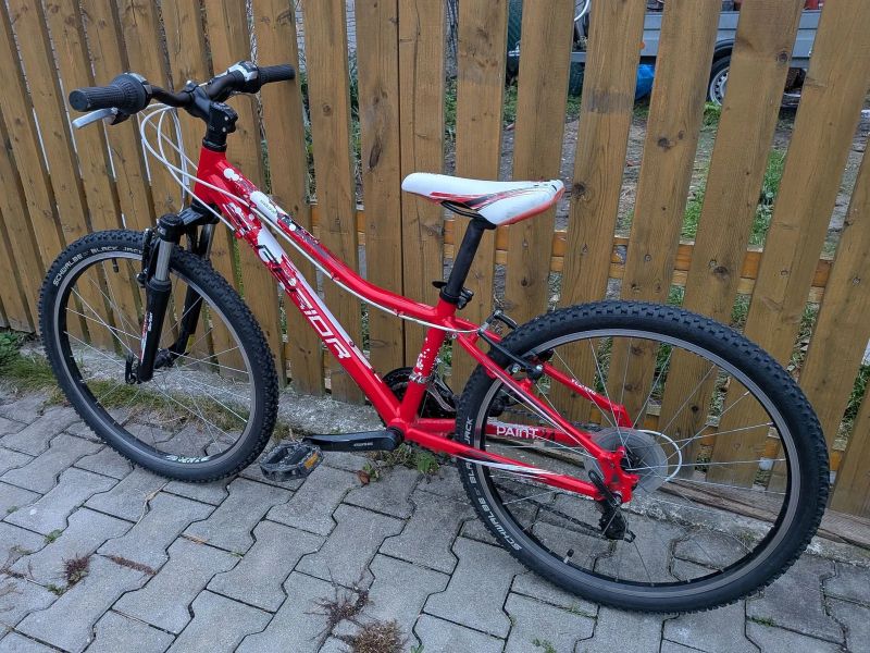 Superior XC 24 Paint