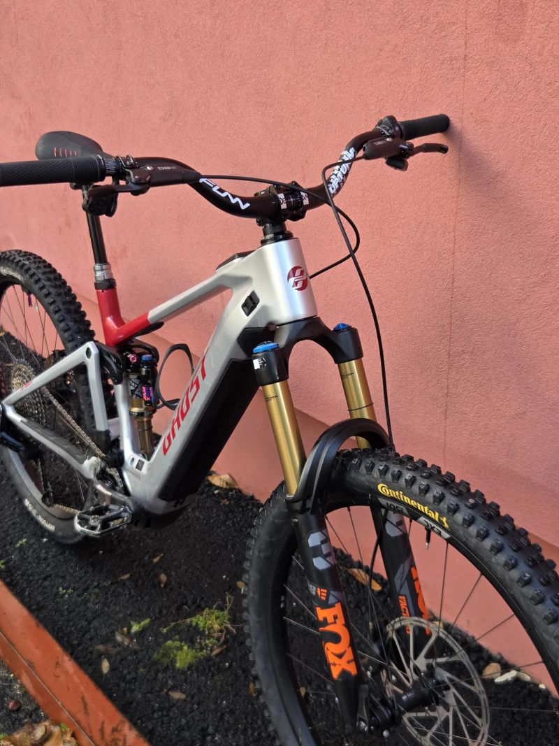 Ghost E-Riot CF custom