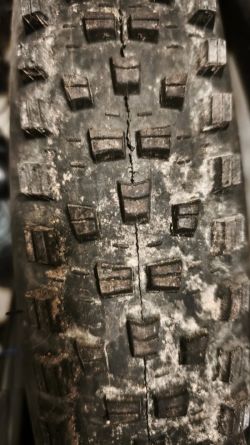 Maxxis Forekaster 29x2.6 Exo, TR, dual