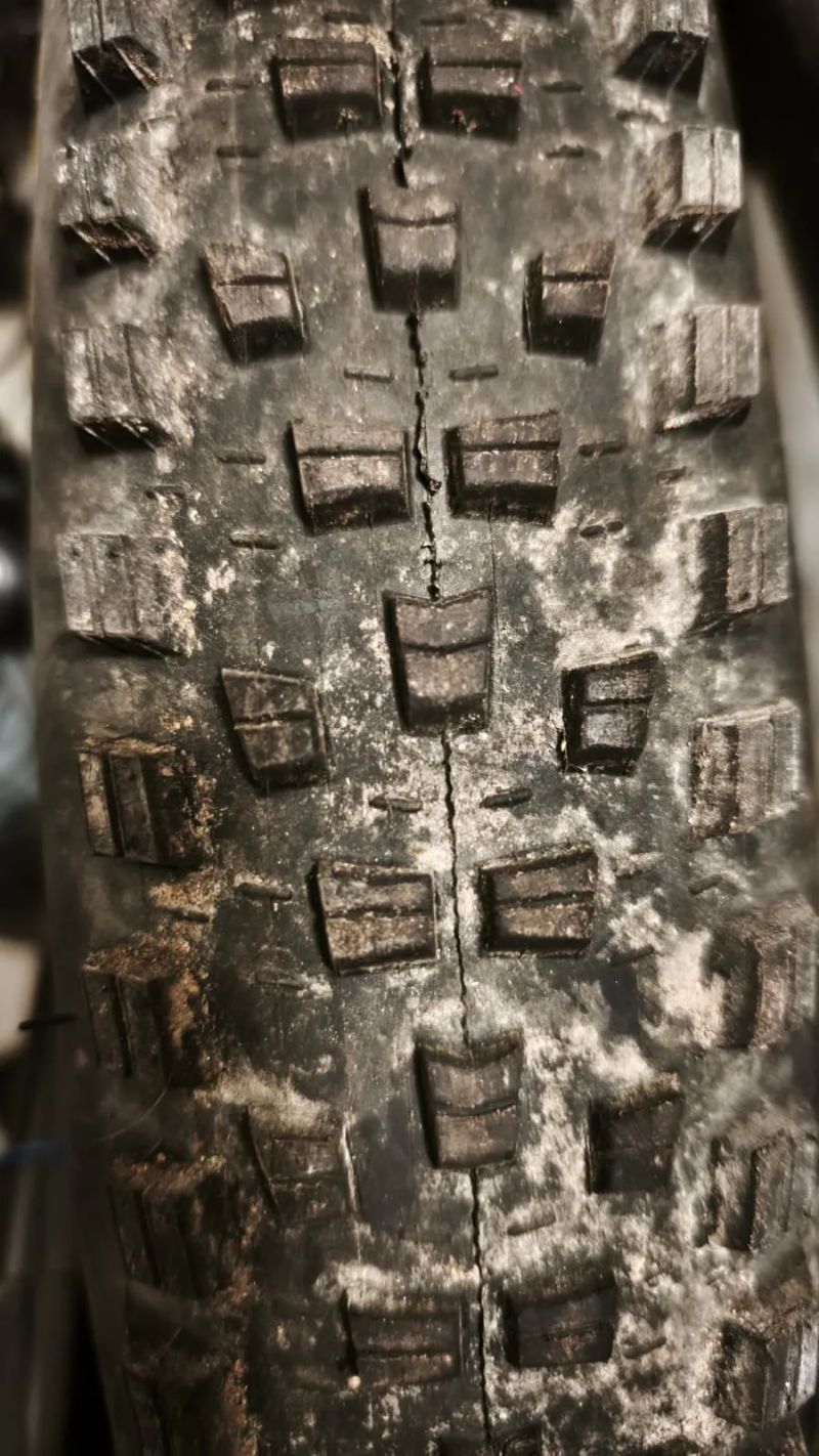 Maxxis Forekaster 29x2.6 Exo, TR, dual