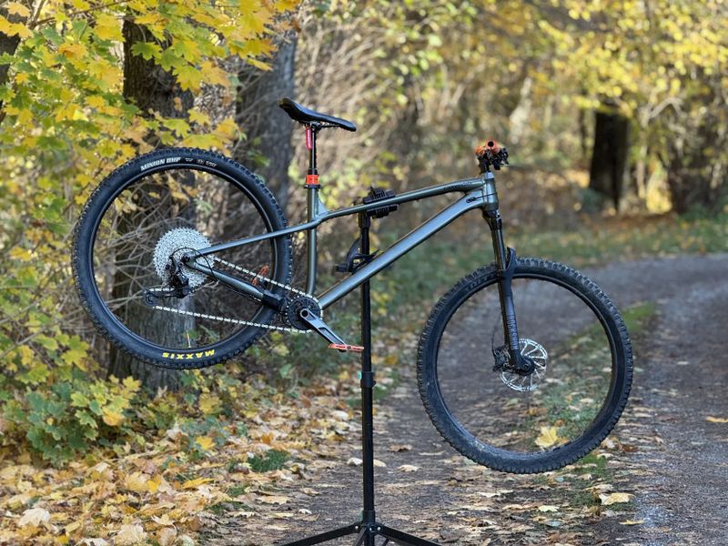 CANNONDALE Habit HT 29" L - CUSTOM BUILD!