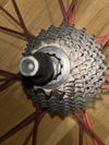 Campagnolo