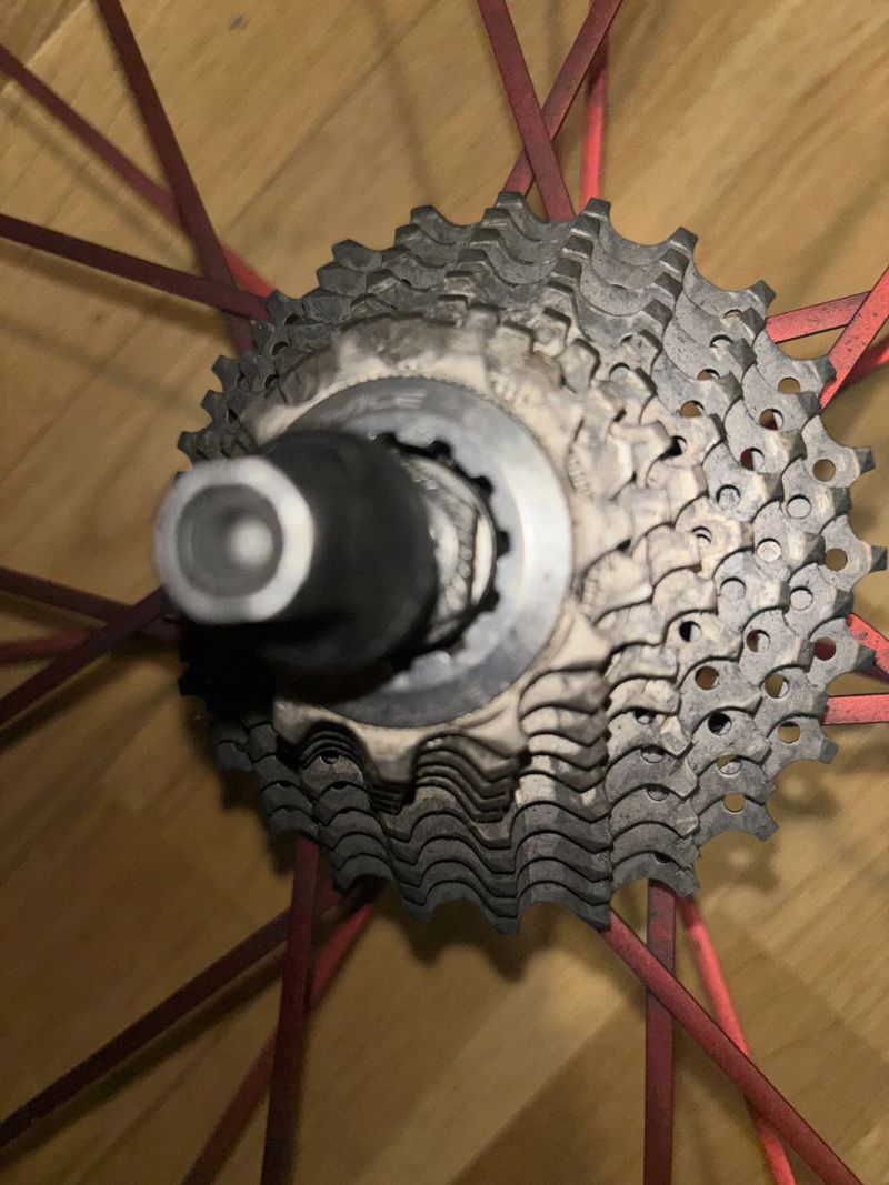 Campagnolo