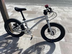 Early Rider SeekerX 16"