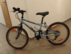 Author Energy junior