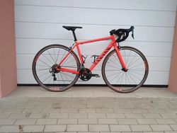 Canyon Endurace 6