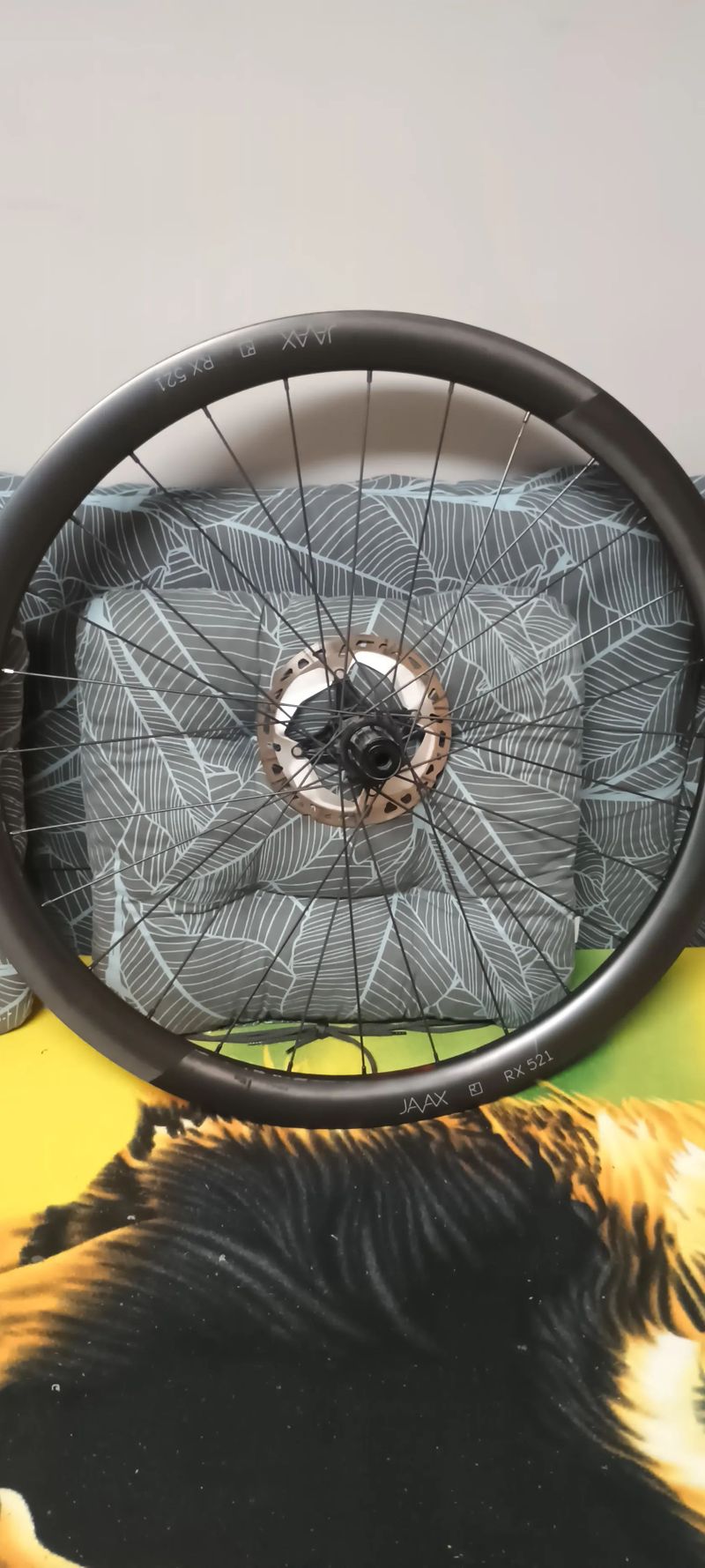 Zapletená kola JAVAX RX521 Carbon