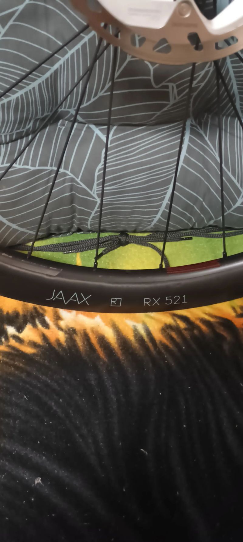 Zapletená kola JAVAX RX521 Carbon