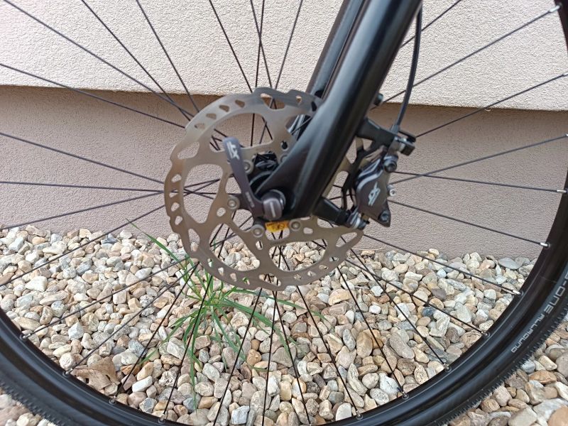 KTM X-LIFE RACE 2022