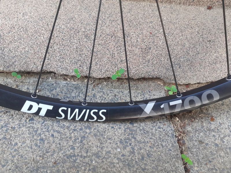Zadní zapletené kolo DT Swiss X1700