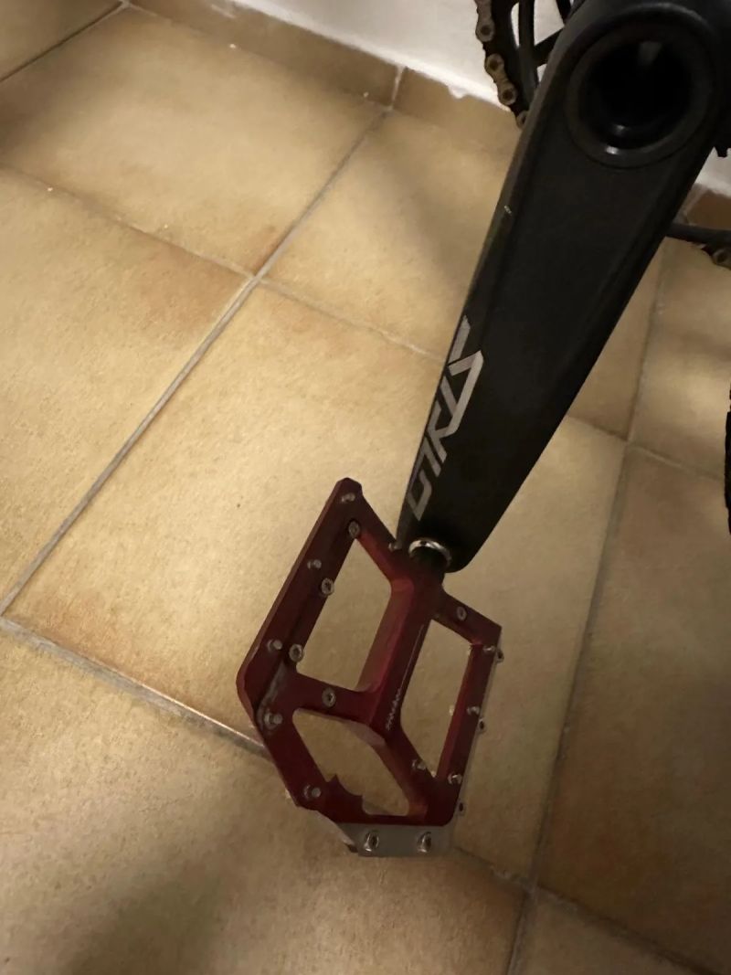 Cube Cube Reaction Race