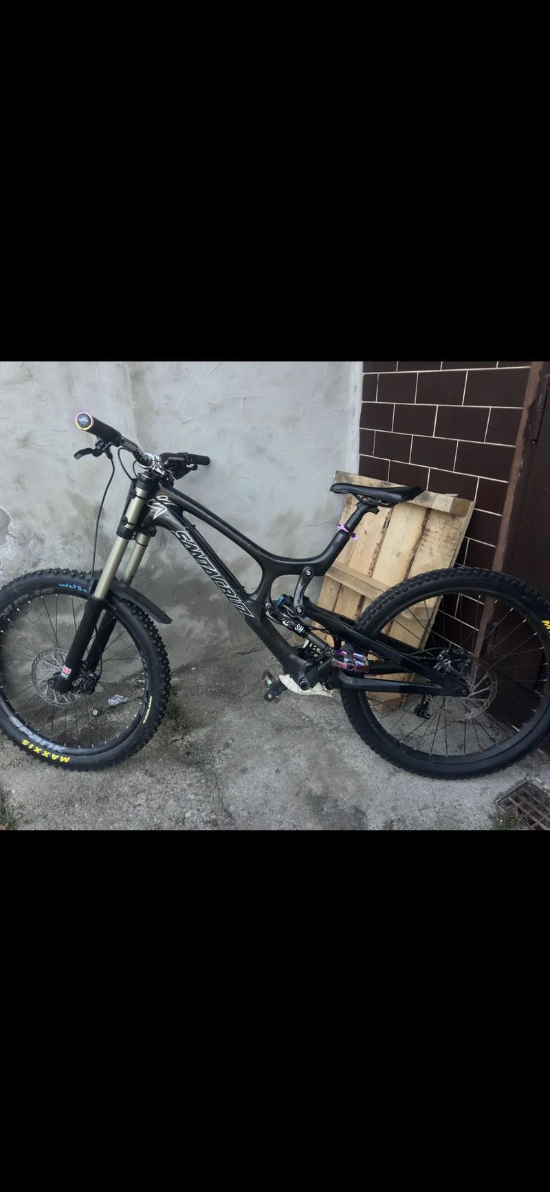 Santa Cruz Santa cruz v10