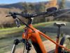 Haibike Haibike AllTrack 6, 2025 papaya/titan, velikost: M