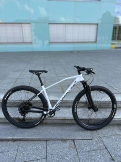 Mondraker Chrono Carbon