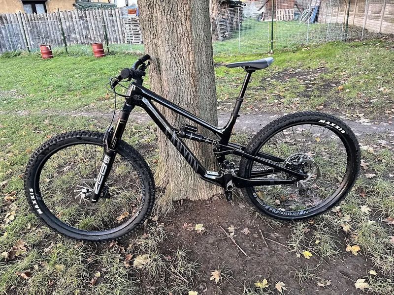 Canyon Torque 29 CF 7