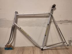 Faggin Campione del Mondo 62 cm