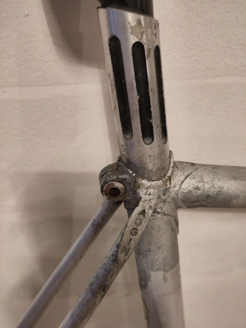 Faggin Campione del Mondo 62 cm