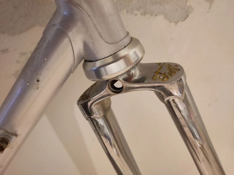 Faggin Campione del Mondo 62 cm