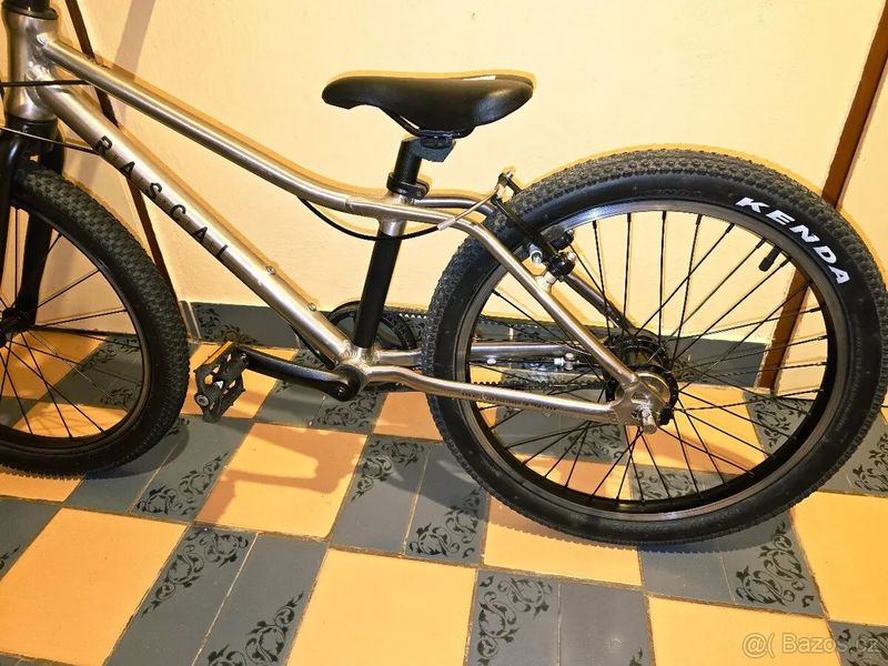 Rascal Rascal 20 Sturmey Archer Titan