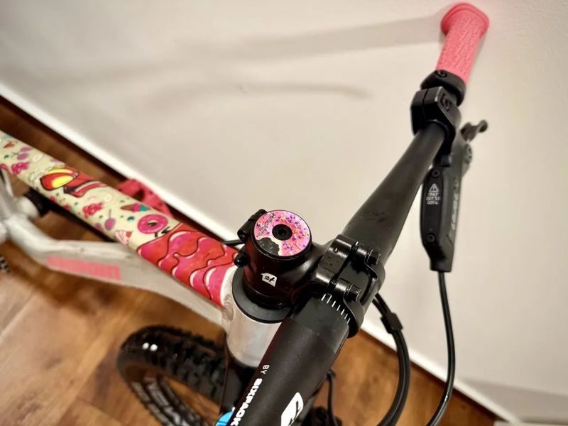 Propain Dreckspatz 20"