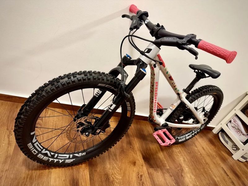 Propain Dreckspatz 20"