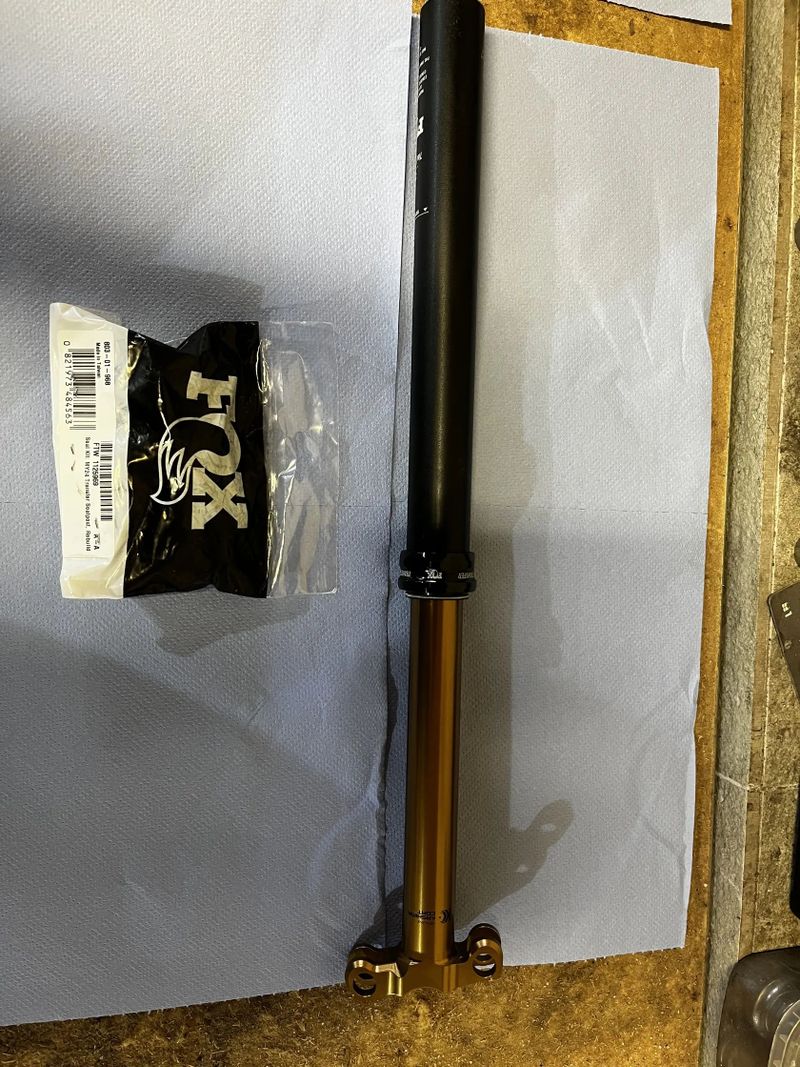 Sedlovka fox kashima 