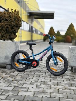 Specialized Riprock coaster 16"