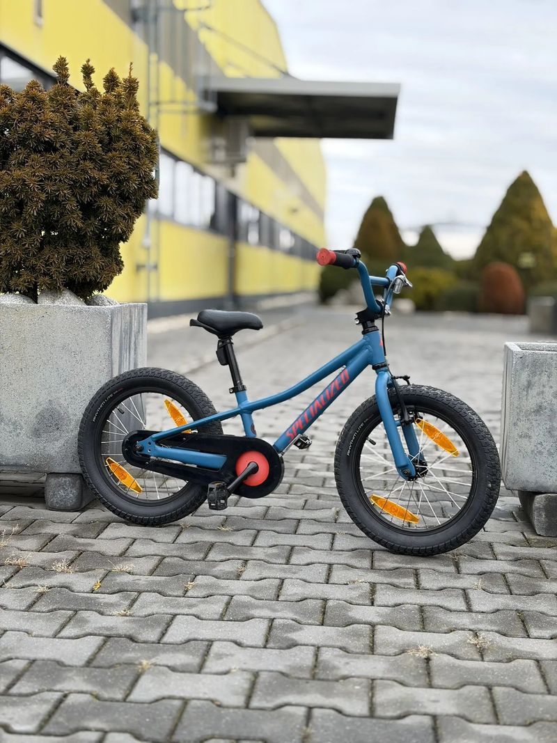 Specialized Riprock coaster 16"