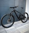 Bergamont Contrail Pro Carbon, 2020, 29”, vel L.
