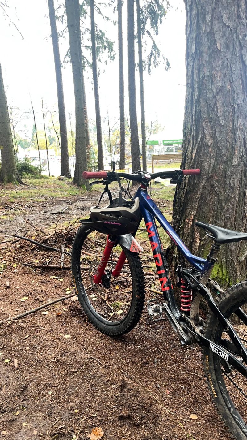 Marin alpine trail xr