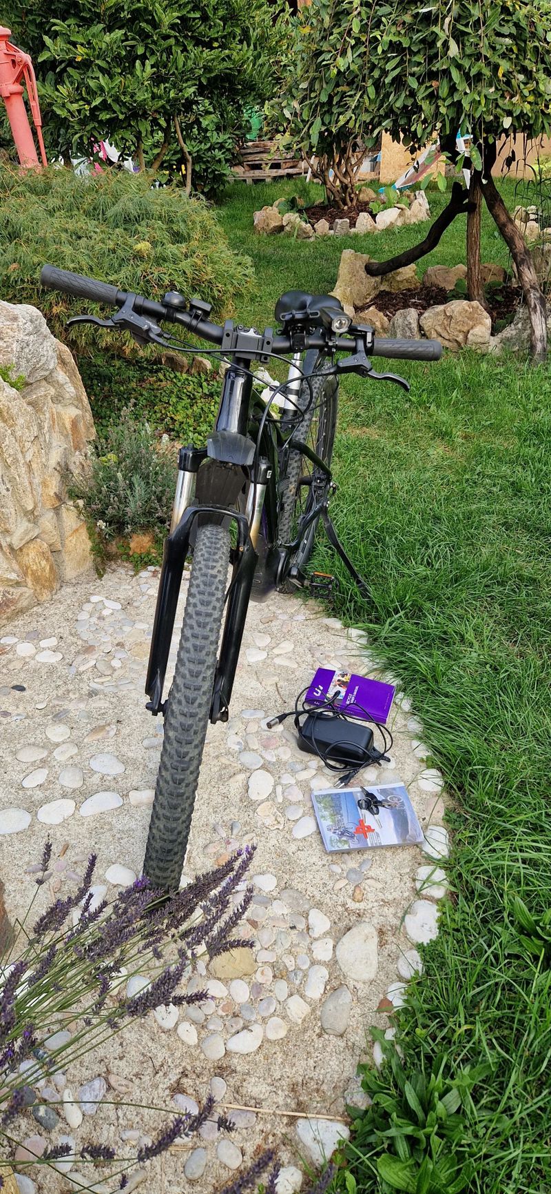 Giant Liv Tempt E+ 2 2021