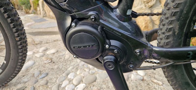 Giant Liv Tempt E+ 2 2021