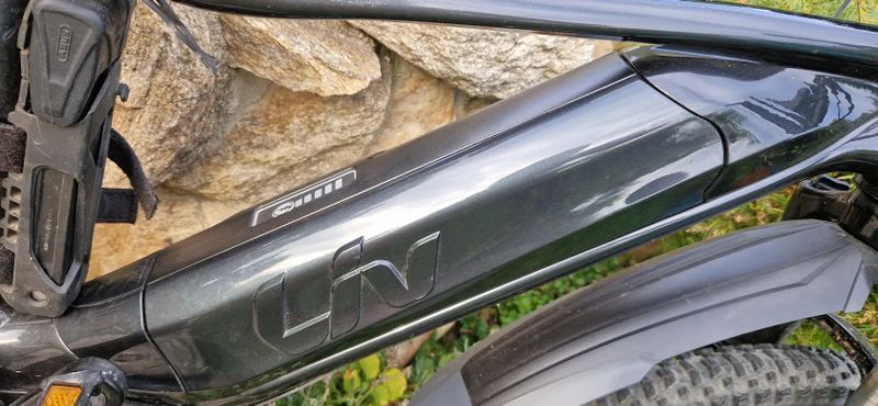 Giant Liv Tempt E+ 2 2021