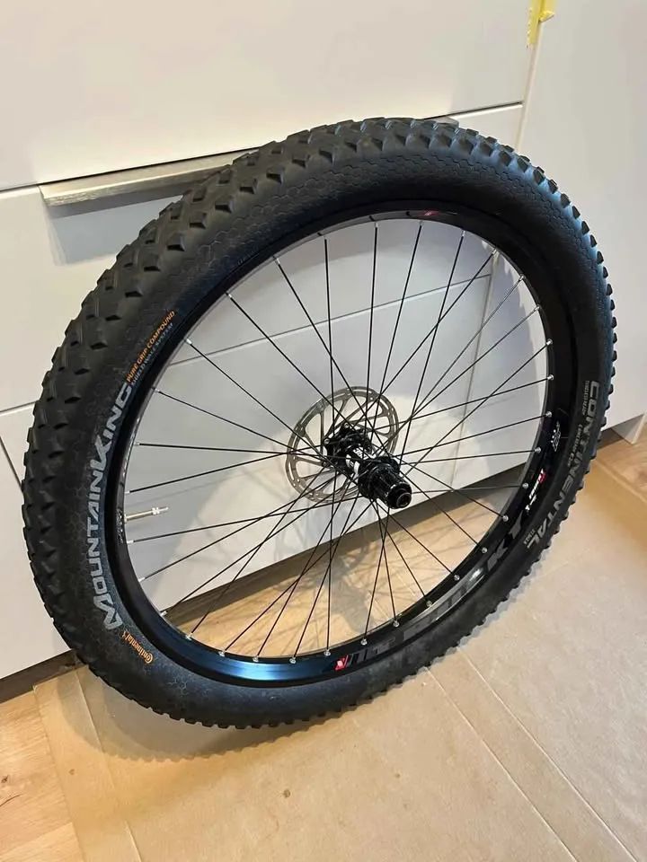 Boost Rear Wheel DT Swiss 350