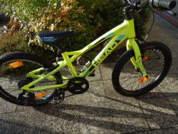 Head Riddot 20" Po Servisu