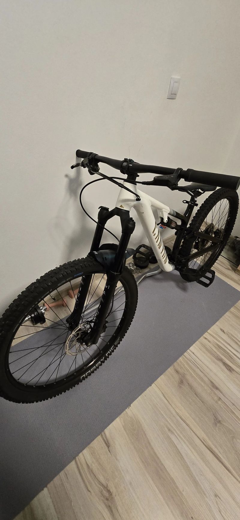 Canyon Neuron Young Hero