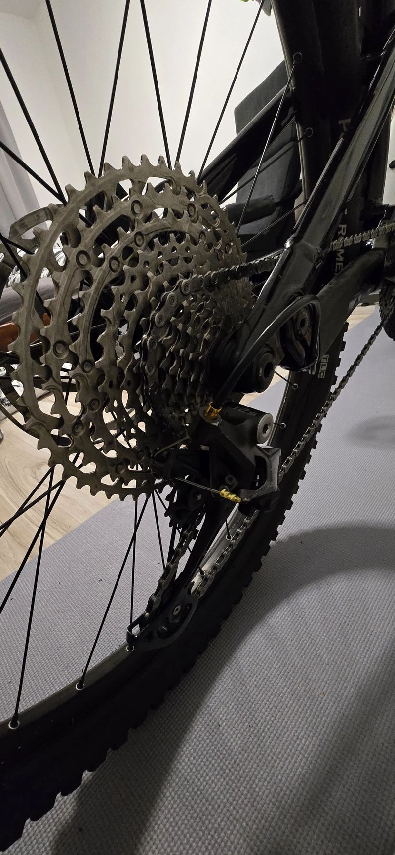 Canyon Neuron Young Hero