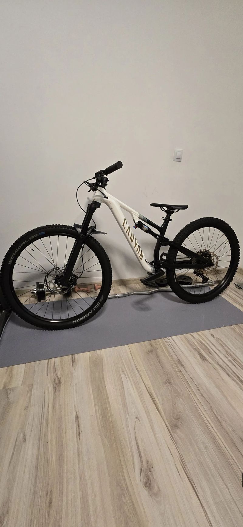 Canyon Neuron Young Hero