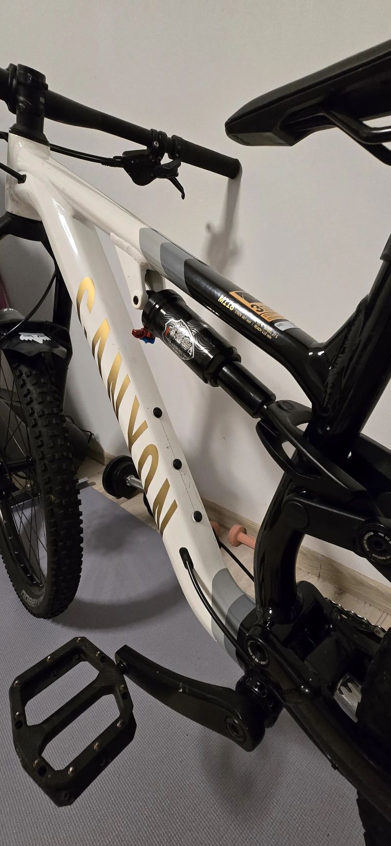 Canyon Neuron Young Hero