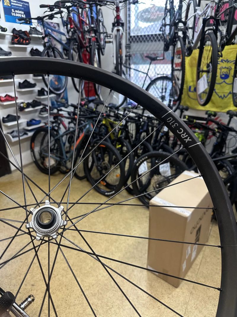 Pancho wheels DT Swiss xrc 310 