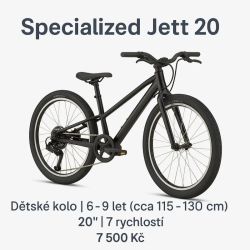 Specialized Jett