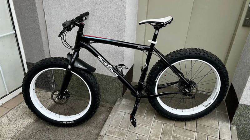 Fatbike SALSA Beargrease - black L/XL