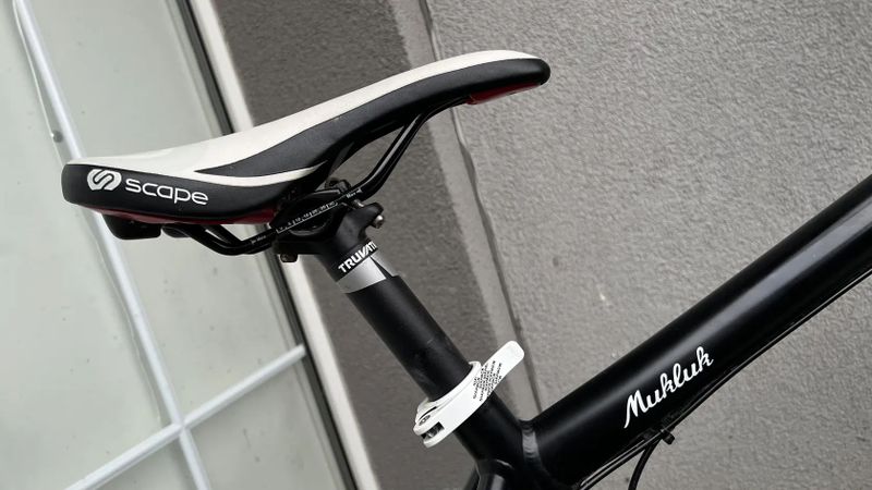 Fatbike SALSA Beargrease - black L/XL